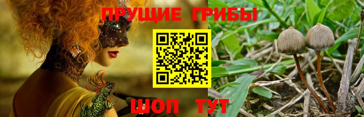 Галлюциногенные грибы MAGIC MUSHROOMS  Вход с VPN  Усть-Илимск 